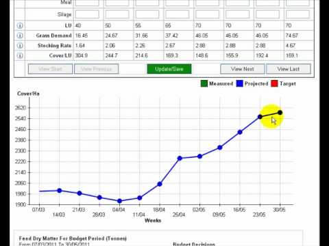 how to budget for a website