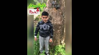 مشواري الى غابة ميعار في الجليل السفلي قضاء عكا