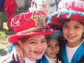 vamos las murgas 2 vamos las murgas 2