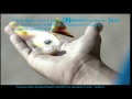 UNICEF SLOVENIJA - SOME OF THEM (AD / REKLAMA)