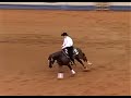2008 NRHA Futurity Open Finals - Cody Sapergia & The Great Tag