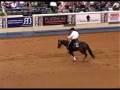 2008 NRHA Futurity Open Finals - Cody Sapergia & The Great Tag