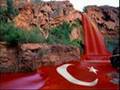 T�RK�N SOYSUZLARA CEVABI ERGENEKON