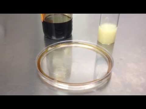 how to isolate oil degrading bacteria