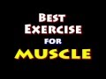The BEST EXERCISE for MUSCLE: Super SECRET #2