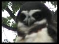 Chester Zoo (4/4)