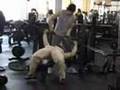 Weight Training Accident FUNNY!