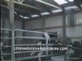 Animales chistosos en celo