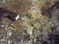 Calcite Cleavage