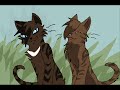 brambleclaw and hawkfrost feel like monster (warriorsAMV)