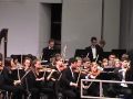 Symphony No. 6 in A minor by Gustav Mahler, 1st Movement (Part 2)