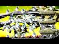 perdamaian - gigi band