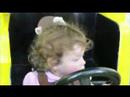 Driving at the zoo Driving at the zoo