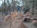 juices-pines-dirt-ju