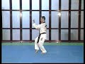 Taeguk Chil Jang