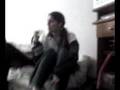 videos de Pira em: Tubarão Martelo