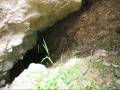 videos de Holy Grail - New findings - Part 1 - www.nhc.net.nz