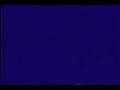  - MovieZen Video