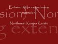 American Kenpo Tech. - Entwined Maces