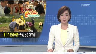 뉴스데스크