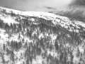 Vaisa-gerdalen.MOV