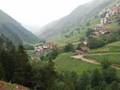 karaçam
