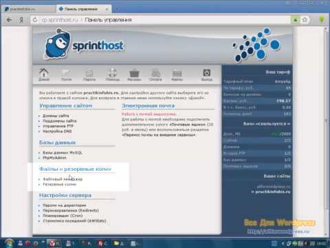 YouTube �������