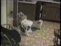 los mejores bloopers recopilados