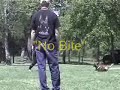 Police K9 Dog Training Video  -  Police dogs - SitMeansSit
