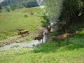 Romania-my-love