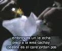 colita de tigre  tala