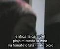 colita de tigre  tala