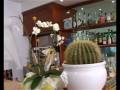 videos de Hotel Negresco