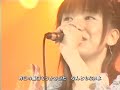 Anion Live