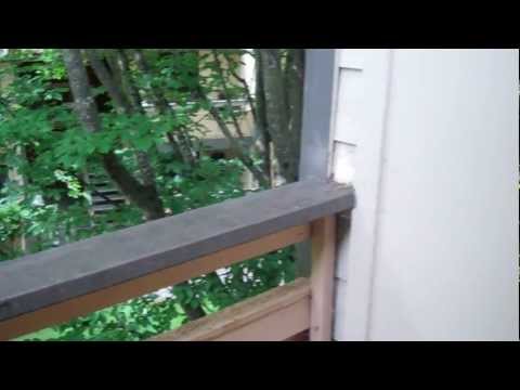 Woodlake Apartments - 2 Bedroom - Oak Floorplan