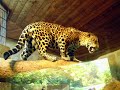 Zoo Dortmund