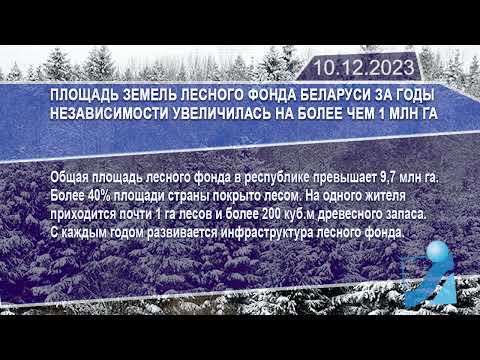 Новостная лента Телеканала Интекс 10.12.23.