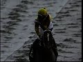 CURLIN - 2008 Jockey Club Gold Cup