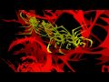 animated video using vectors in a 3d space timed to 