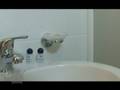 videos de Hotel Ricchi