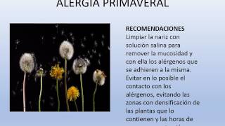 TRATAMIENTO CON HOMEOPATÍA PARA LA ALERGIA PRIMAVERAL