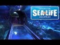 Sea Life Grapevine Vs Dallas Aquarium