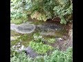 Take awalk on Kakita River spring park ～　清流　柿田川湧水群　水辺の散歩　～