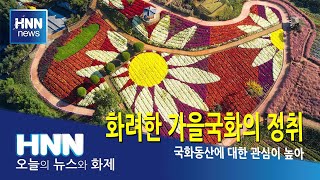 화려한 가을국화의 정취