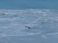 Joven luchando contra enormes olas