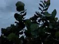 Joven luchando contra enormes olas