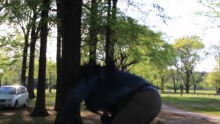 2012 - PHI BETA SIGMA & ALPHA PHI ALPHA COOKOUT 