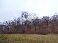schloss babelsberg flatow turm