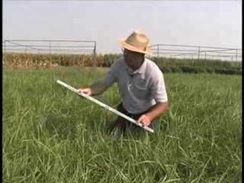 Using a Grazing Stick Part 2