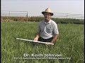 Using-a-Grazing-Stic